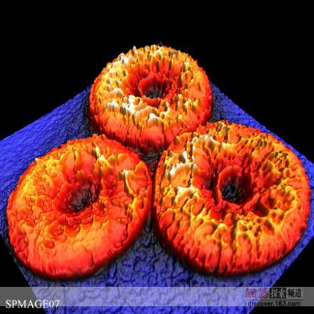 “扫描隧道显微镜”下拍摄的“血细胞”